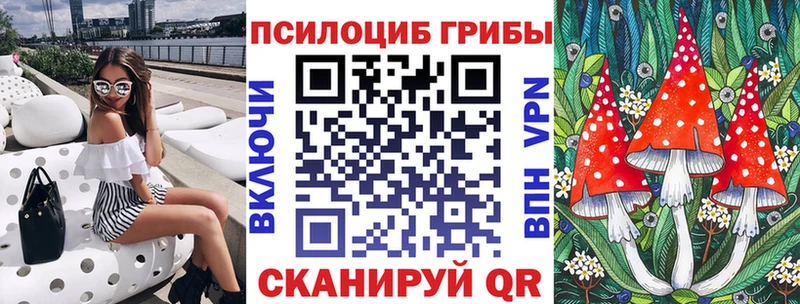 Псилоцибиновые грибы GOLDEN TEACHER  Ставрополь 
